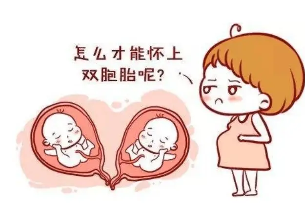供卵和普通试管的区别有哪些？一文一次说全